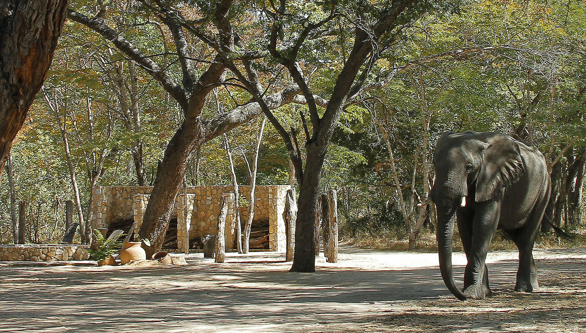 Gwango Elephant Lodge Dete Exterior photo